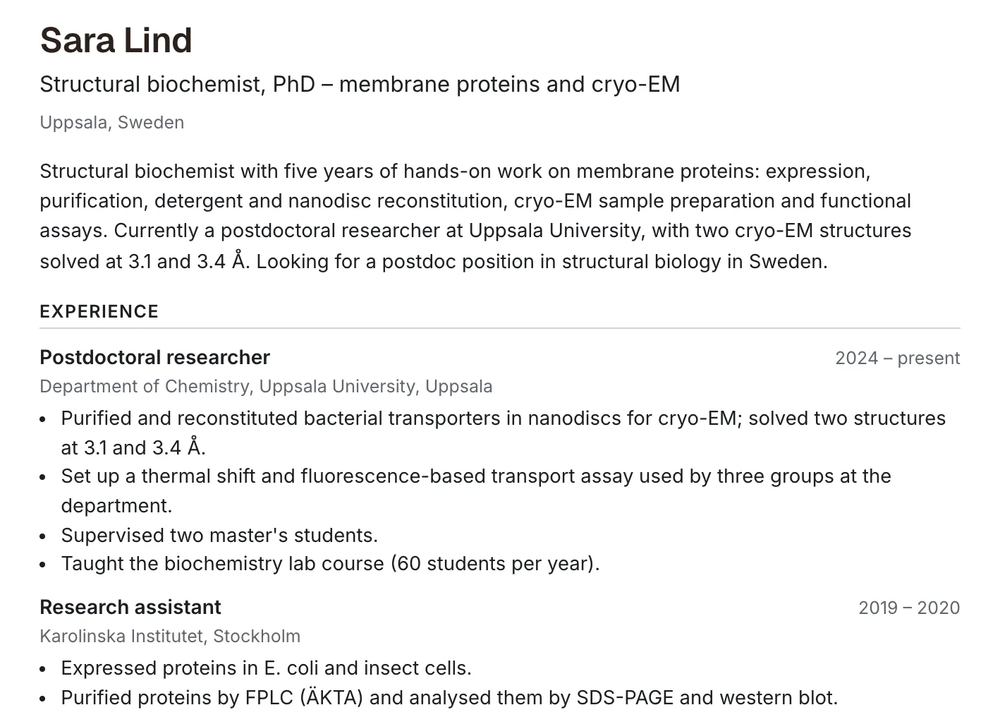 A CV built in the chat, with its versions, Save as profile and Download PDF.